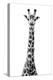 Safari Profile Collection - Giraffe White Edition VIII-Philippe Hugonnard-Premier Image Canvas