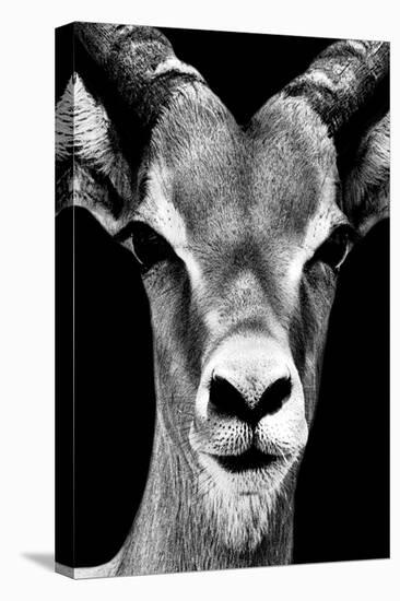 Safari Profile Collection - Portrait of Antelope Black Edition-Philippe Hugonnard-Premier Image Canvas