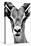 Safari Profile Collection - Portrait of Antelope White Edition-Philippe Hugonnard-Premier Image Canvas