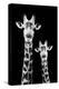 Safari Profile Collection - Portrait of Giraffe and Baby Black Edition IV-Philippe Hugonnard-Premier Image Canvas