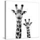 Safari Profile Collection - Portrait of Giraffe and Baby White Edition II-Philippe Hugonnard-Premier Image Canvas