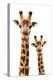 Safari Profile Collection - Portrait of Giraffe and Baby White Edition III-Philippe Hugonnard-Premier Image Canvas