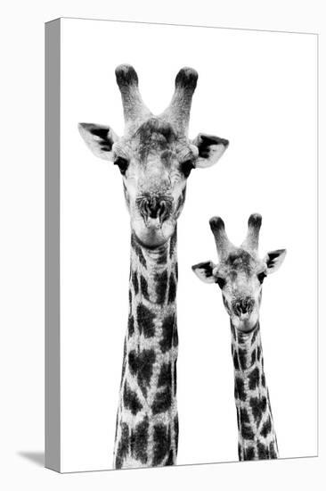 Safari Profile Collection - Portrait of Giraffe and Baby White Edition IV-Philippe Hugonnard-Premier Image Canvas