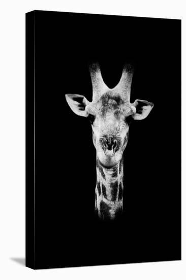 Safari Profile Collection - Portrait of Giraffe Black Edition II-Philippe Hugonnard-Premier Image Canvas