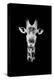 Safari Profile Collection - Portrait of Giraffe Black Edition II-Philippe Hugonnard-Premier Image Canvas