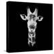 Safari Profile Collection - Portrait of Giraffe Black Edition IV-Philippe Hugonnard-Premier Image Canvas