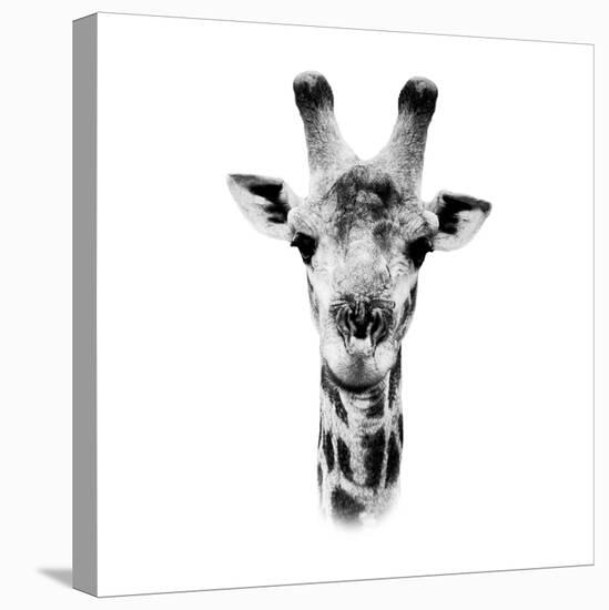 Safari Profile Collection - Portrait of Giraffe White Edition IV-Philippe Hugonnard-Premier Image Canvas