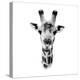 Safari Profile Collection - Portrait of Giraffe White Edition IV-Philippe Hugonnard-Premier Image Canvas