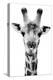 Safari Profile Collection - Portrait of Giraffe White Edition V-Philippe Hugonnard-Premier Image Canvas