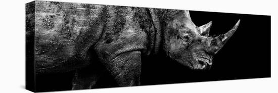 Safari Profile Collection - Rhino Black Edition III-Philippe Hugonnard-Premier Image Canvas