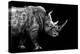 Safari Profile Collection - Rhino Black Edition-Philippe Hugonnard-Premier Image Canvas