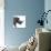 Safari Profile Collection - Rhino White Edition II-Philippe Hugonnard-Premier Image Canvas displayed on a wall