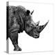 Safari Profile Collection - Rhino White Edition II-Philippe Hugonnard-Premier Image Canvas