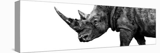 Safari Profile Collection - Rhino White Edition III-Philippe Hugonnard-Premier Image Canvas