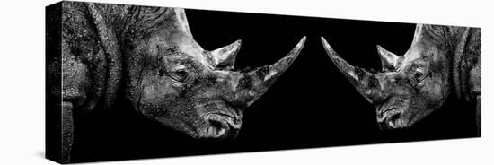 Safari Profile Collection - Rhinos Face to Face Black Edition II-Philippe Hugonnard-Premier Image Canvas