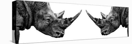 Safari Profile Collection - Rhinos Face to Face White Edition II-Philippe Hugonnard-Premier Image Canvas