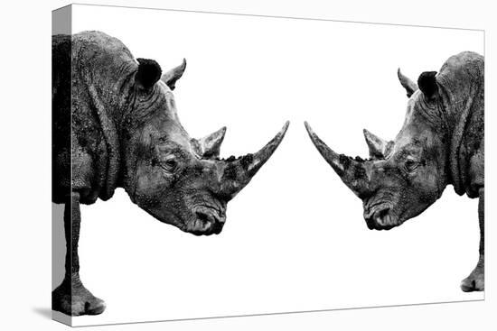 Safari Profile Collection - Rhinos Face to Face White Edition-Philippe Hugonnard-Premier Image Canvas