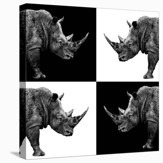 Safari Profile Collection - Rhinos II-Philippe Hugonnard-Premier Image Canvas