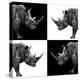 Safari Profile Collection - Rhinos II-Philippe Hugonnard-Premier Image Canvas