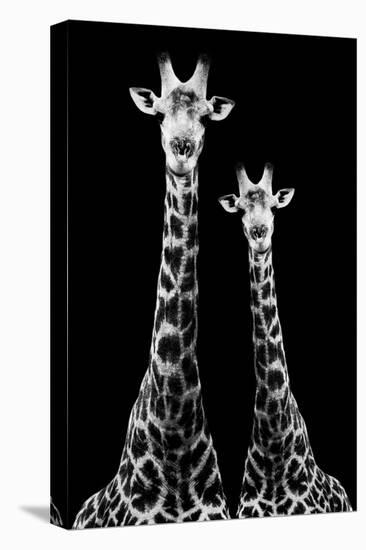 Safari Profile Collection - Two Giraffes Black Edition II-Philippe Hugonnard-Premier Image Canvas