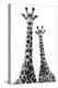 Safari Profile Collection - Two Giraffes White Edition II-Philippe Hugonnard-Premier Image Canvas