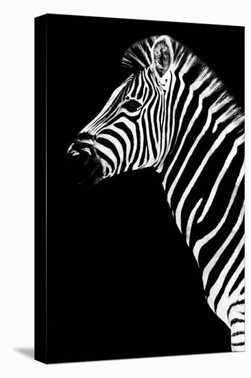 Safari Profile Collection - Zebra Black Edition III-Philippe Hugonnard-Premier Image Canvas