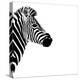 Safari Profile Collection - Zebra Portrait White Edition III-Philippe Hugonnard-Premier Image Canvas