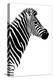 Safari Profile Collection - Zebra White Edition III-Philippe Hugonnard-Premier Image Canvas