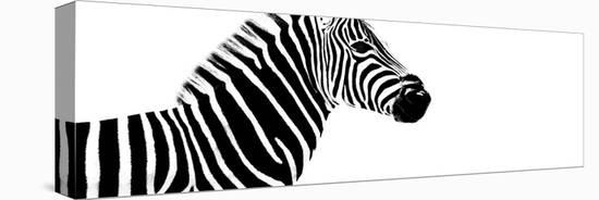 Safari Profile Collection - Zebra White Edition IV-Philippe Hugonnard-Premier Image Canvas