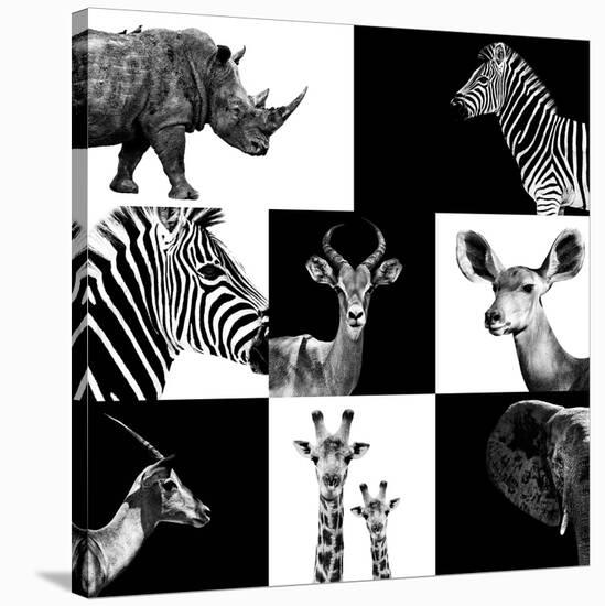 Safari Profile Collection-Philippe Hugonnard-Premier Image Canvas