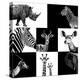 Safari Profile Collection-Philippe Hugonnard-Premier Image Canvas