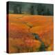 Safari Stream-Stevens Allayn-Stretched Canvas