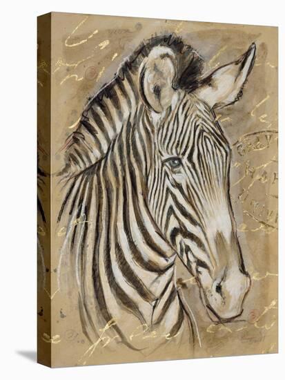 Safari Zebra-Chad Barrett-Stretched Canvas