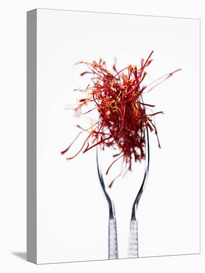 Saffron Threads in Tongs-Marc O^ Finley-Premier Image Canvas