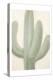 Sage Cactus 1-Kimberly Allen-Stretched Canvas