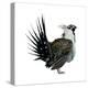 Sage Grouse (Centrocercus Urophasianus), Birds-Encyclopaedia Britannica-Stretched Canvas