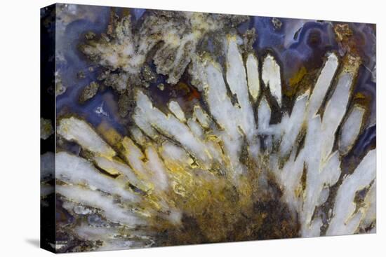 Sagenite Agate, Sammamish, Washington-Darrell Gulin-Premier Image Canvas