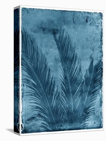 Sago Palm-John Kuss-Premier Image Canvas
