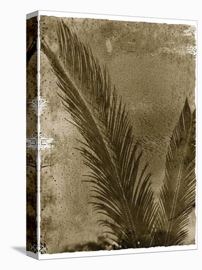 Sago Palm-John Kuss-Premier Image Canvas