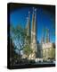 Sagrada Familia Barcelona Spain-null-Stretched Canvas