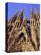 Sagrada Familia Cathedral by Gaudi, East Face Detail, Barcelona, Catalonia, Spain-Charles Bowman-Premier Image Canvas