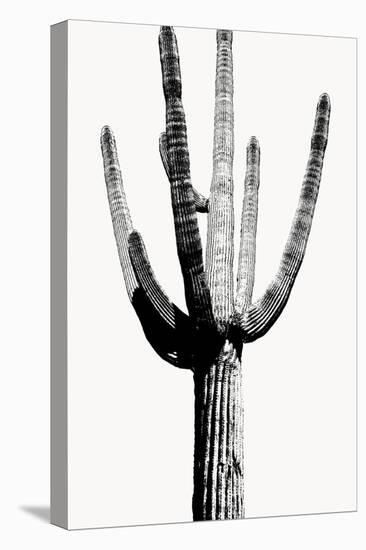 Saguaro Black & White I-Mia Jensen-Stretched Canvas
