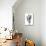 Saguaro Black & White II-Mia Jensen-Stretched Canvas displayed on a wall