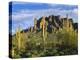 Saguaro cacti and Superstition Mountains at Lost Dutchman State Park, Arizona-Tim Fitzharris-Stretched Canvas