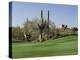 Saguaro Cacti in a Golf Course, Troon North Golf Club, Scottsdale, Maricopa County, Arizona, USA-null-Premier Image Canvas