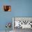 Saguaro Cactus and Wren, Sonoran Desert, Arizona, USA-Marilyn Parver-Premier Image Canvas displayed on a wall