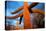 Saguaro cactus at Saguaro National Park, Tucson, Arizona, USA-null-Premier Image Canvas