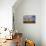 Saguaro cactus (Carnegiea gigantea) and rainbow over desert, South Maricopa Mountains Wilderness...-Panoramic Images-Premier Image Canvas displayed on a wall