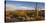 Saguaro Cactus Dominate the Landscape at Saguaro National Park in Tucson, Arizona, Usa-Chuck Haney-Premier Image Canvas