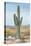 Saguaro Cactus Study I-Ethan Harper-Stretched Canvas